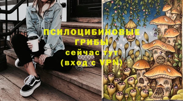 ALPHA PVP Богородицк