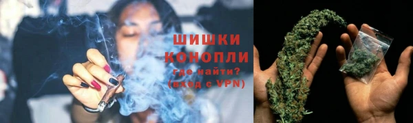 прущие грибы Богородск