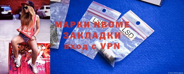 прущие грибы Богородск