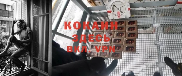 ALPHA PVP Богородицк