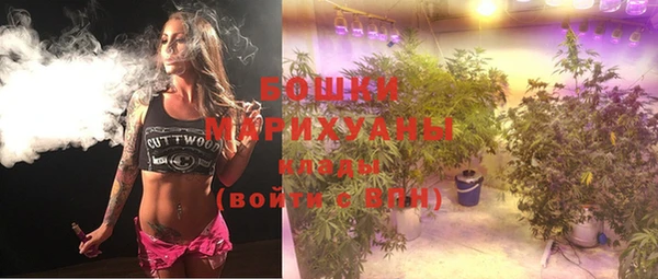 ALPHA PVP Богородицк