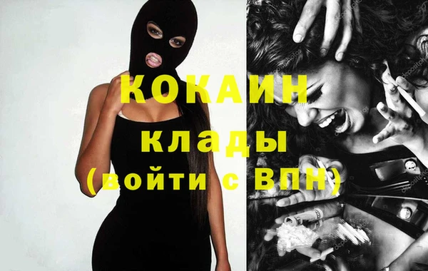 прущие грибы Богородск