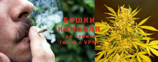 прущие грибы Богородск