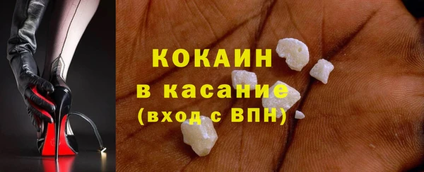 прущие грибы Богородск