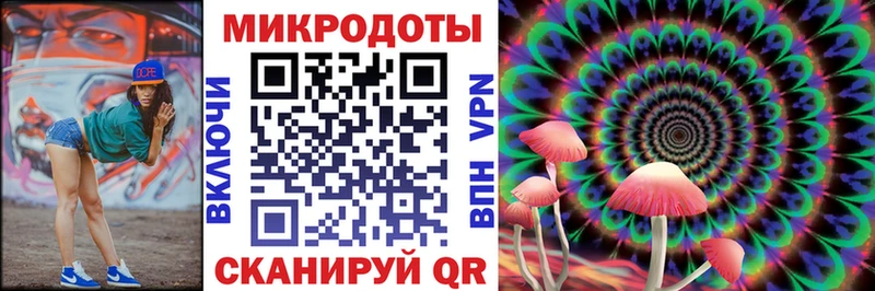 дарк нет официальный сайт Янаул Псилоцибиновые грибы Psilocybine cubensis
