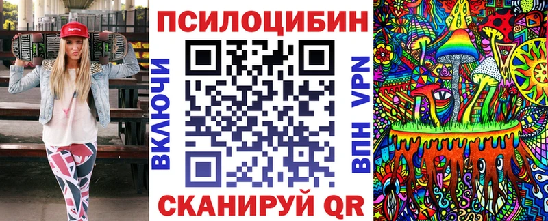 Псилоцибиновые грибы Psilocybe Янаул